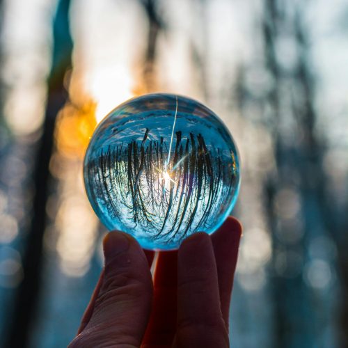 Eyesight Improvement & Myopia Control