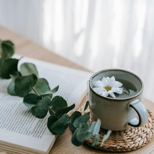 Mental Fitness with M.I.N.D. Strategies